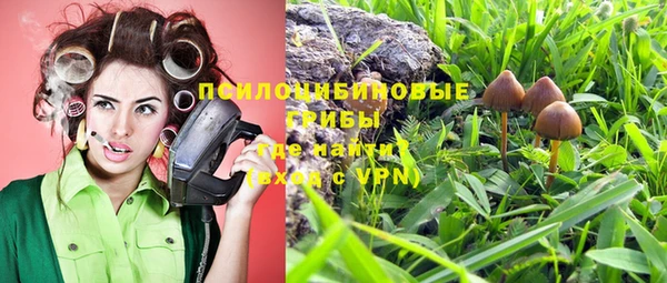 спайс Богданович