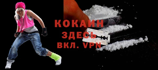 спайс Богданович
