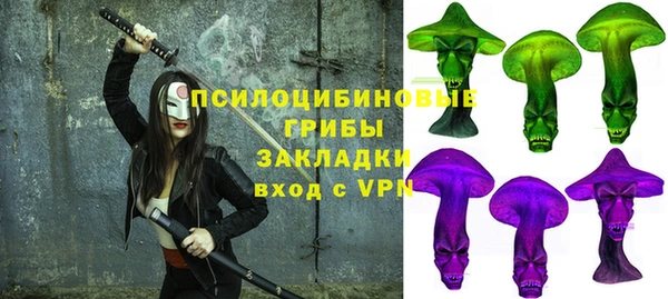 спайс Богданович