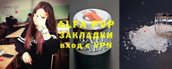 спайс Богданович