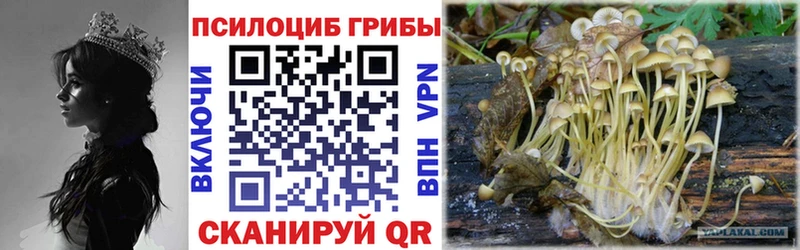 Псилоцибиновые грибы Psilocybine cubensis  Любим 